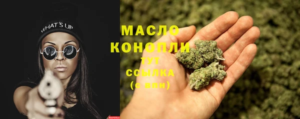 гидра Горнозаводск