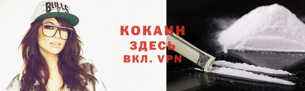 дмт Горняк