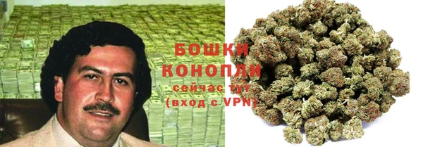 гидра Горнозаводск