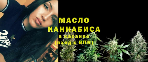 дмт Горняк