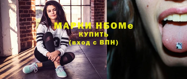 гидра Горнозаводск