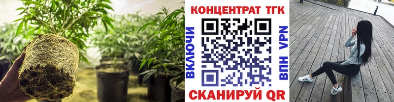 Дистиллят ТГК Wax  Купить закладки  Неман 