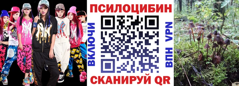 Псилоцибиновые грибы GOLDEN TEACHER  Купить где  Неман 
